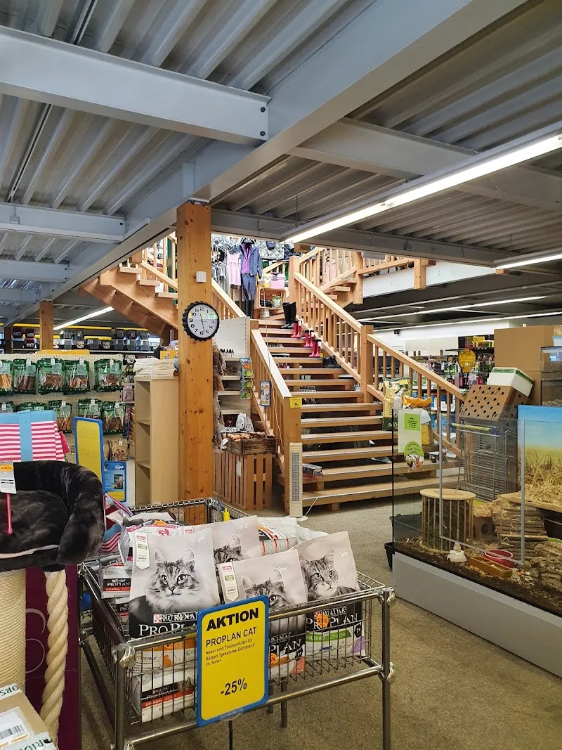 QUALIPET Center Dierikon — Animalerie, Dierikon, Lucerne. Foto 3