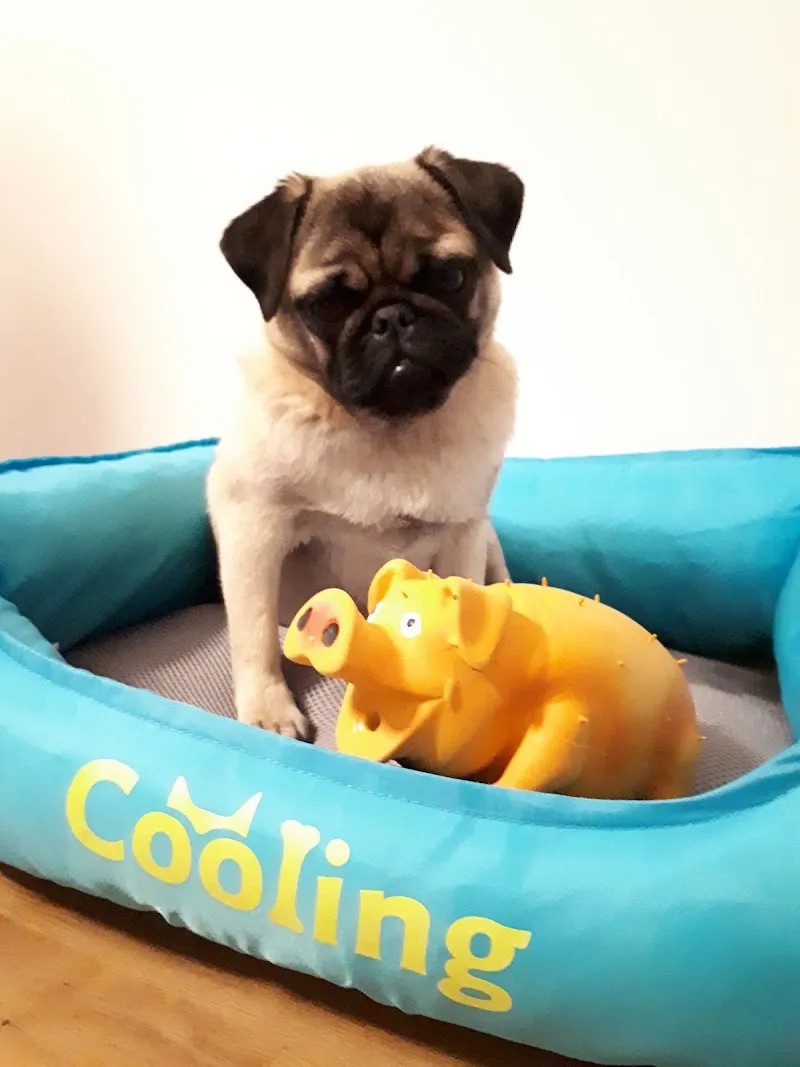 QUALIPET Center Langenthal — Zoofachhandel, Langenthal, Bern. Foto 3