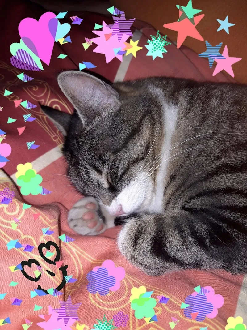 QUALIPET Center Thun — Zoofachhandel, Thun, Bern. Foto 2