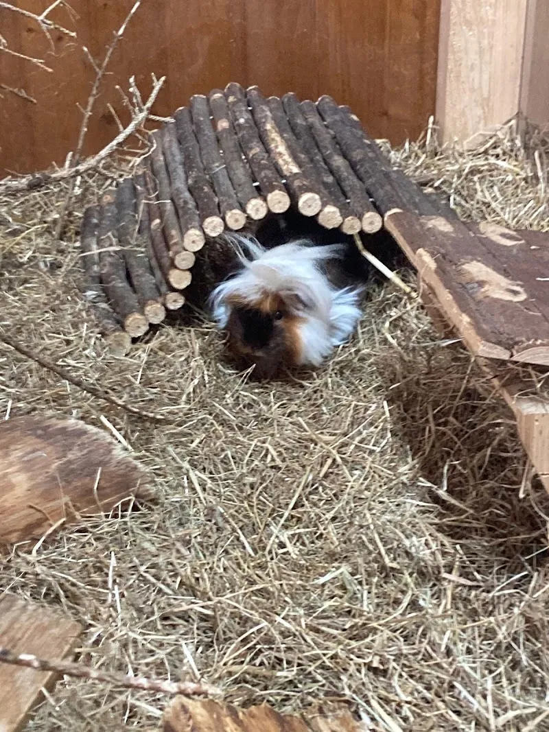 QUALIPET Center Thun — Zoofachhandel, Thun, Bern. Foto 3