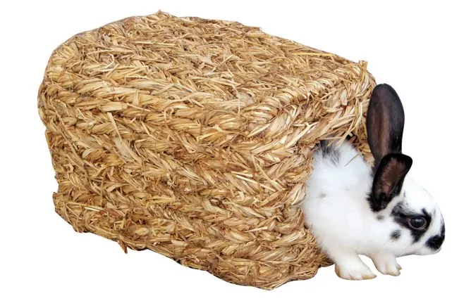 Schneider-online24.ch — Zoofachhandel, Röthenbach bei H, Bern. Foto 2