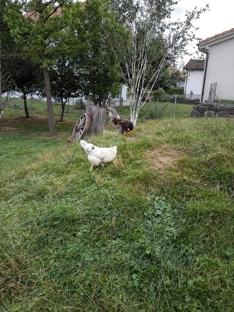 Streichelzoo — Zoofachhandel in Burgdorf, Bern. Bewertung 3.5/5.