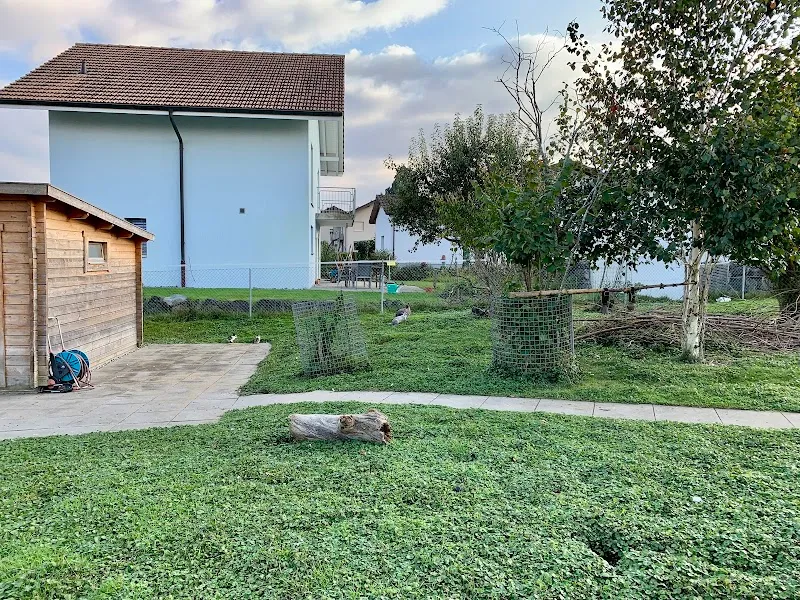 Streichelzoo — Zoofachhandel, Burgdorf, Bern. Foto 2