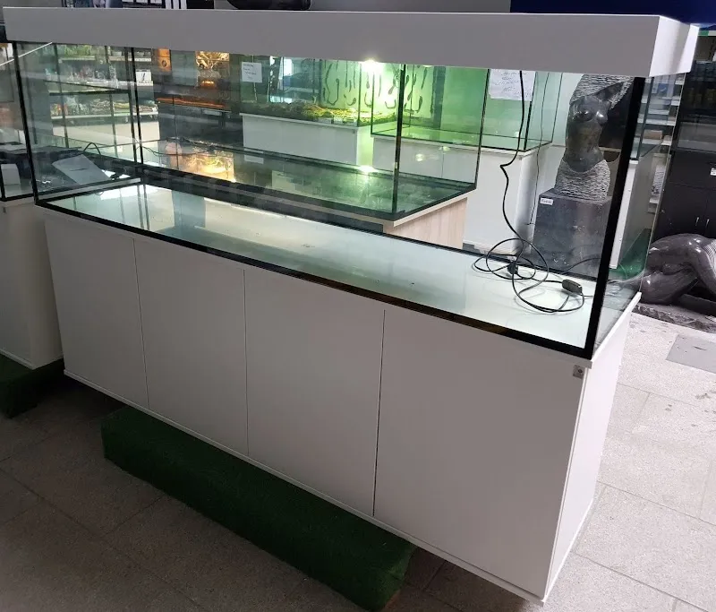 Swisstropicalfish Sàrl — Animalerie, Le Landeron, Neuchâtel. Foto 2