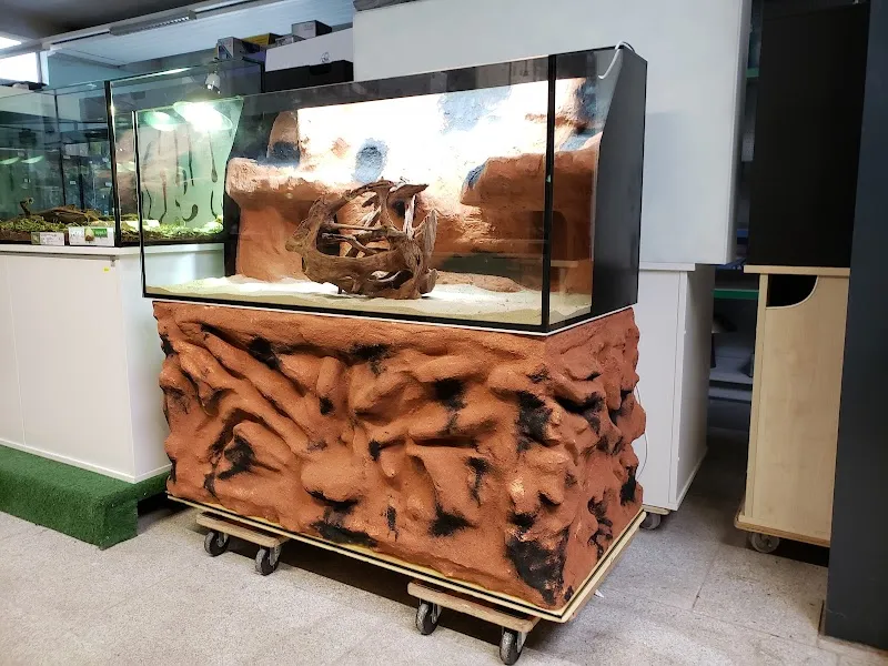 Swisstropicalfish Sàrl — Animalerie, Le Landeron, Neuchâtel. Foto 3