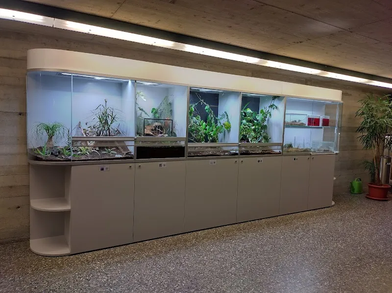 Terrarienbau Adrian Rieser — Zoofachhandel in Herzogenbuchsee, Bern. Bewertung 4.9/5.