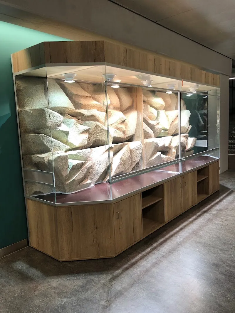 Terrarienbau Adrian Rieser — Zoofachhandel, Herzogenbuchsee, Bern. Foto 3