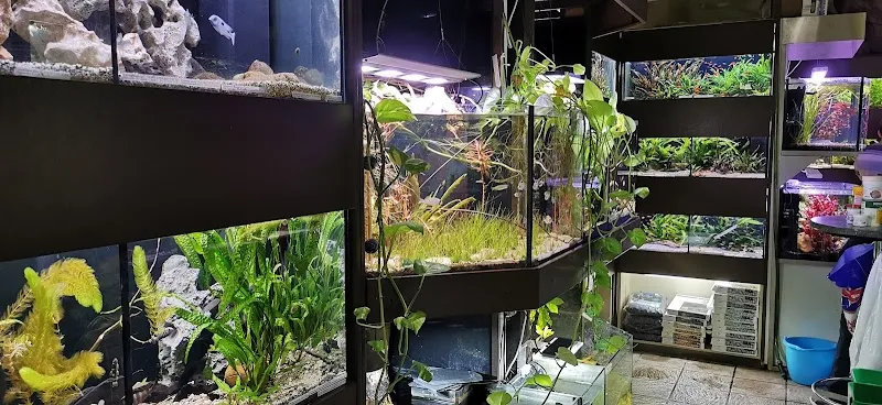 Zoo Thun — Zoofachhandel in Thun, Bern. Bewertung 4.7/5.