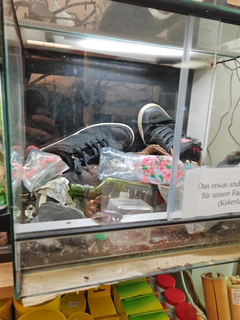 Zoo Thun — Zoofachhandel, Thun, Bern. Foto 3