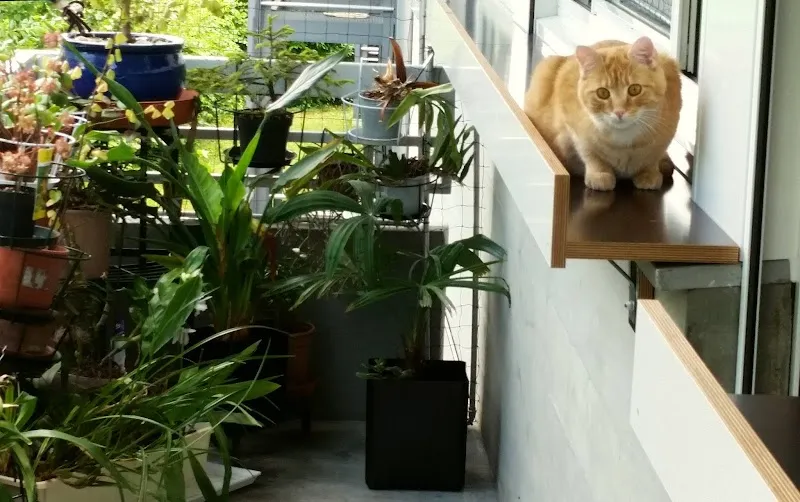 Zoo Tropic — Zoofachhandel, Basel, Basel-Stadt. Foto 2