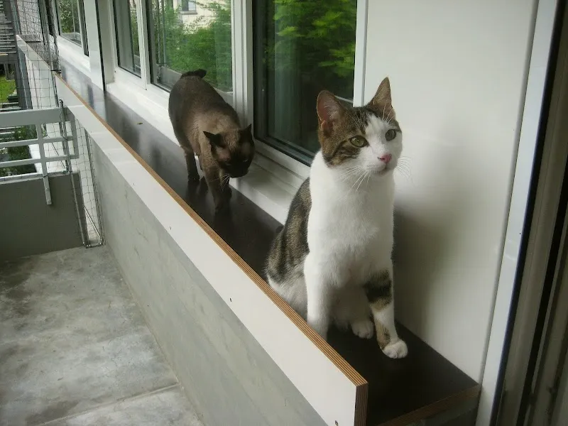 Zoo Tropic — Zoofachhandel, Basel, Basel-Stadt. Foto 3