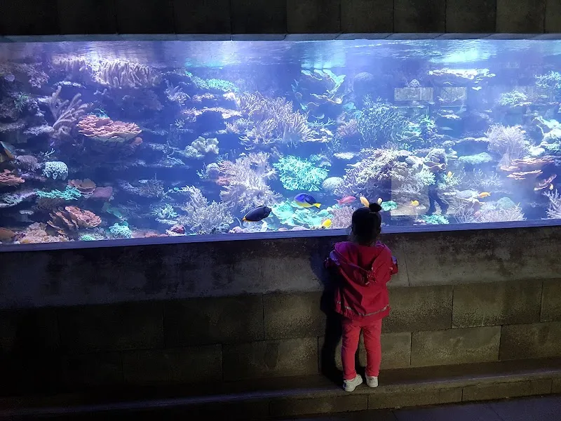 Zoo-Shop - Tierpark Bern — Animalerie, Bern, Berne. Foto 3