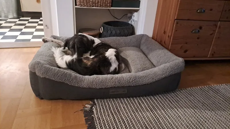 barf-hofladen — Animalerie, Graben, Berne. Foto 3