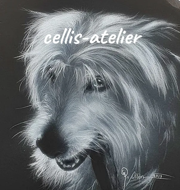 cellis-atelier — Zoofachhandel in Heimenhausen, Bern. Bewertung 5.0/5.