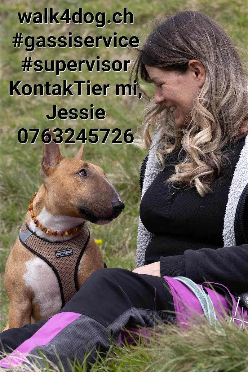 walk4dog — Katzenpension in Chur, Graubünden. Bewertung 5.0/5.