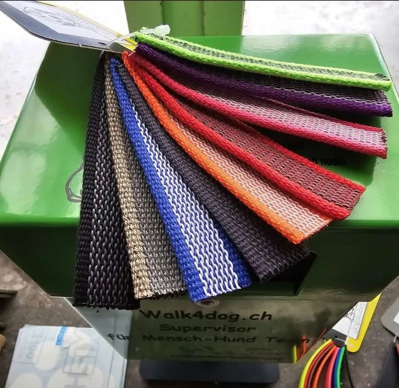 walk4dog — Katzenpension, Chur, Graubünden. Foto 2