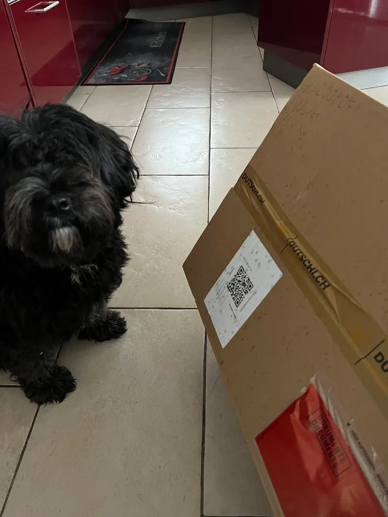 dutschi.ch — Zoofachhandel, Worb, Bern. Foto 3