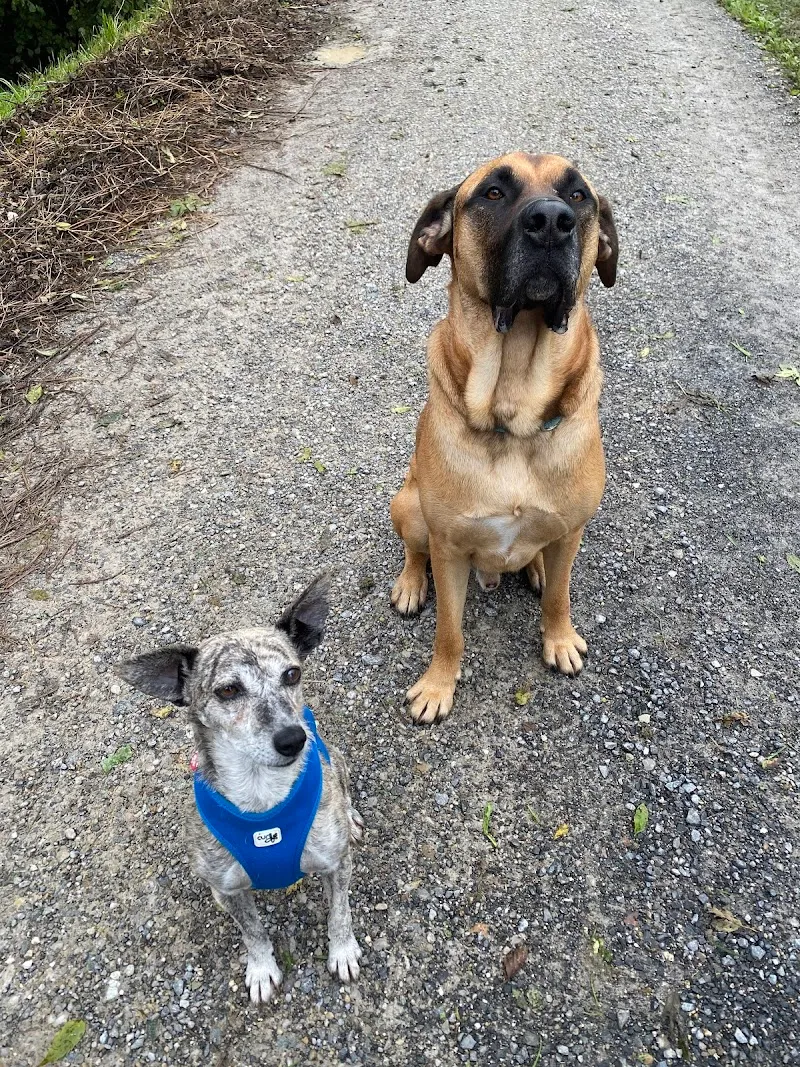 petZEBA AG — Animalerie, Alberswil, Lucerne. Foto 2