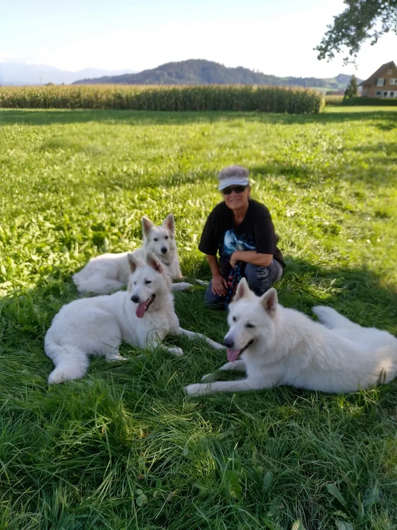 petZEBA AG — Animalerie, Alberswil, Lucerne. Foto 3