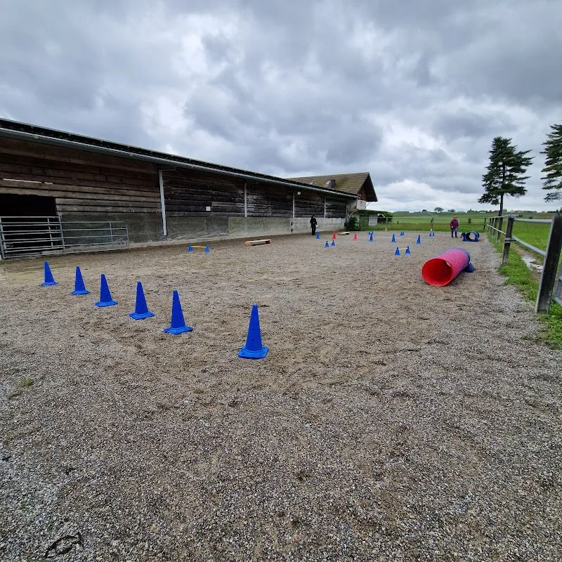 petcenter.ch AG — Zoofachhandel, Niederbipp, Bern. Foto 2