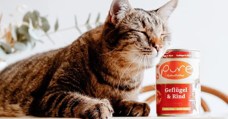 pure-naturfutter.ch — Animalerie, Diegten, Bâle-Campagne. Foto 2