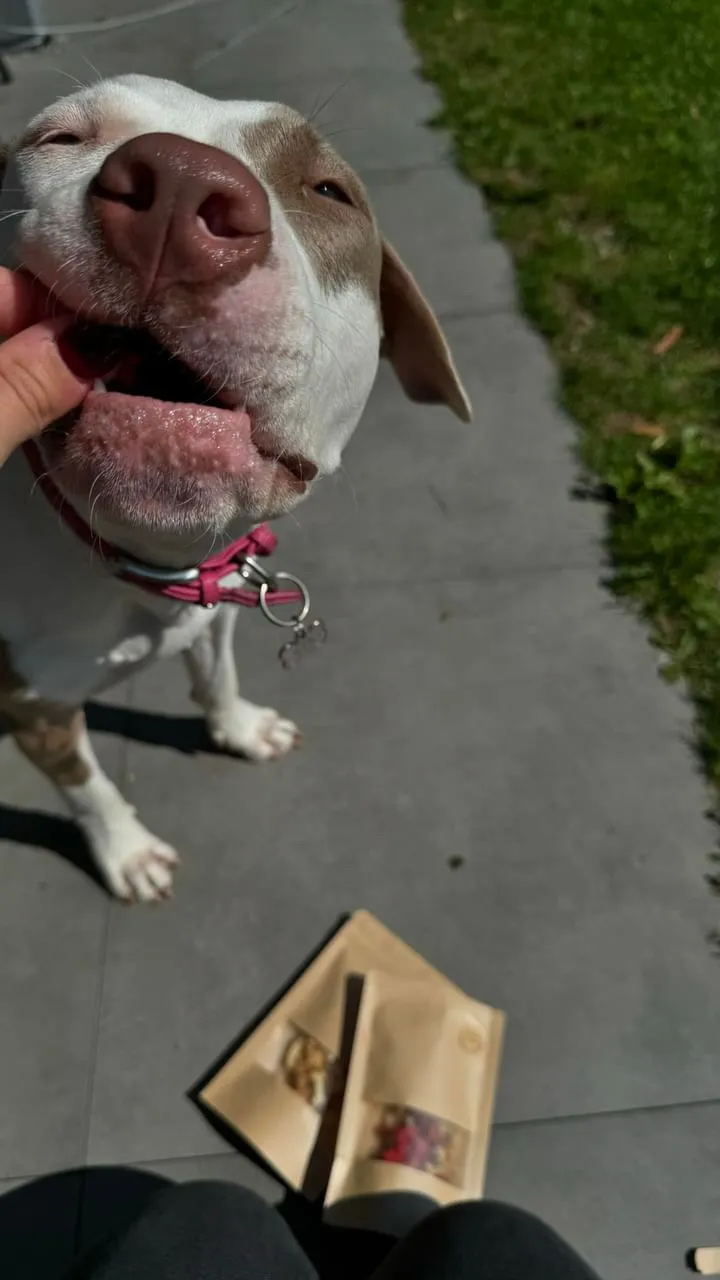 woofgenuss — Zoofachhandel in Wichtrach, Bern. Bewertung 3.7/5.