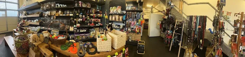 AcroDog.ch - AcroPet — Zoofachhandel in Cortaillod, Neuenburg. Bewertung 4.9/5.