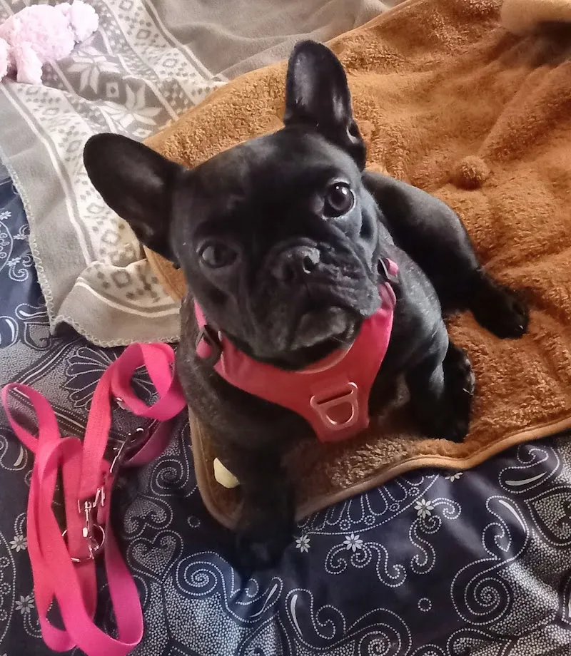 Aniland SA — Zoofachhandel in Collombey-Muraz, Wallis. Bewertung 4.5/5.