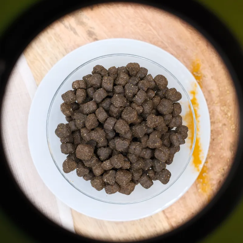 Animéco – Alimentation naturelle pour chats et chiens 🇨🇭 — Animalerie, Fully, Valais. Foto 3