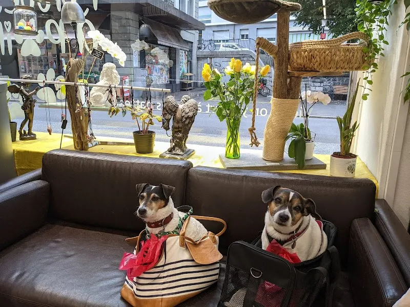 Chez pattes à poils - animalerie — Zoofachhandel, Vevey, Waadt. Foto 2