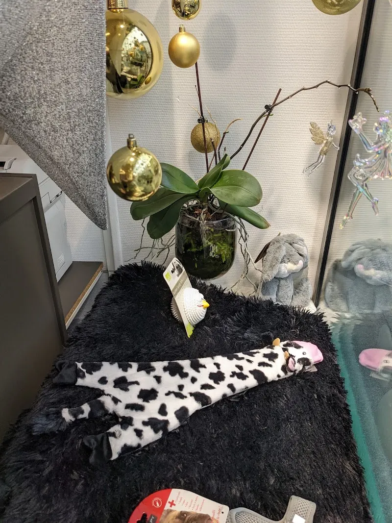 Chez pattes à poils - animalerie — Zoofachhandel, Vevey, Waadt. Foto 3