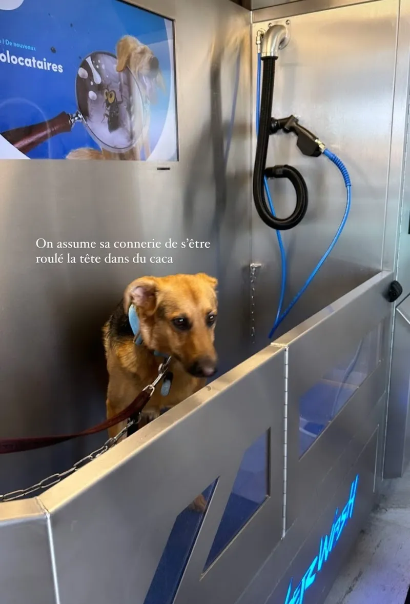 Dogwash, by AnimôBest — Animalerie, Vaulruz, Fribourg. Foto 2