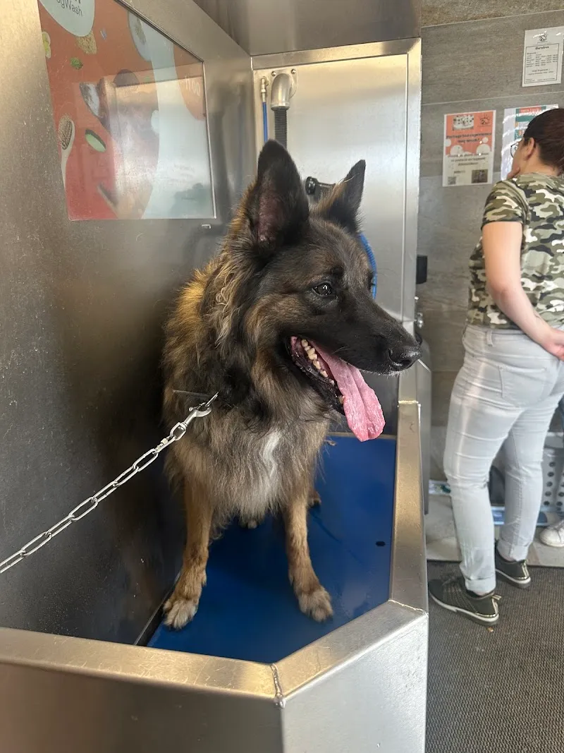 Dogwash, by AnimôBest — Animalerie, Vaulruz, Fribourg. Foto 3
