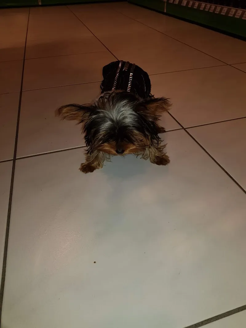 Fressnapf Villars-sur-Glâne — Animalerie, Villars-sur-Glâne, Fribourg. Foto 2