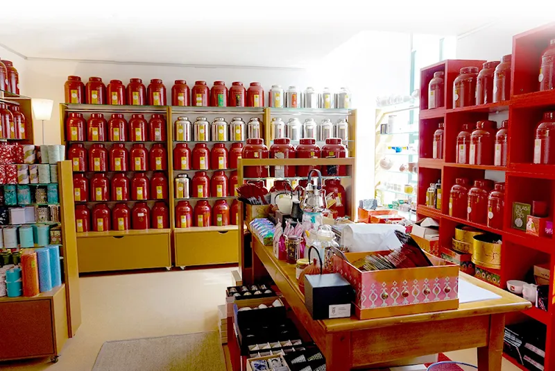 Hérisson — Zoofachhandel, Bulle, Freiburg. Foto 2