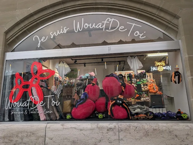Le magasin WouafDeToi — Zoofachhandel in Oron-la-Ville, Waadt. Bewertung 5.0/5.