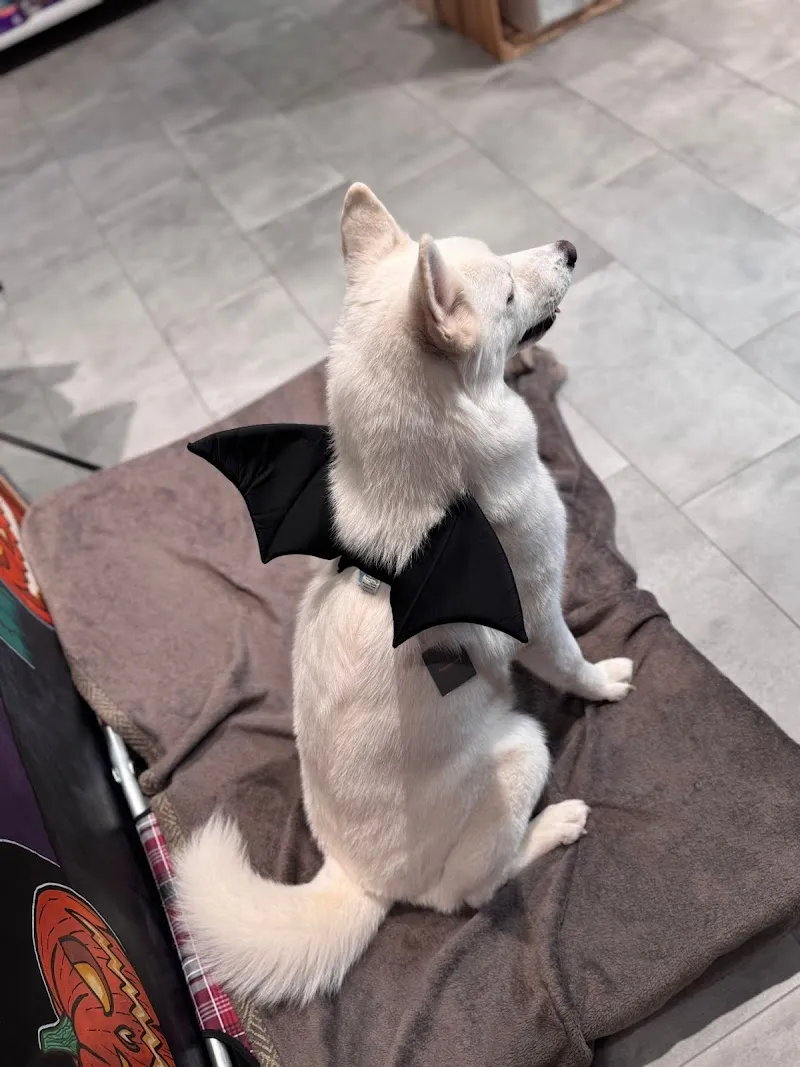 Le magasin WouafDeToi — Zoofachhandel, Oron-la-Ville, Waadt. Foto 3