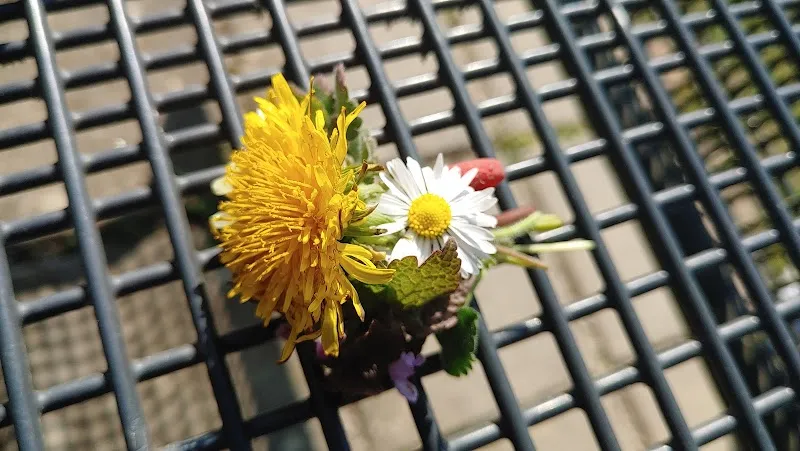 Meiko Heimtierbedarf AG — Zoofachhandel, Morat, Freiburg. Foto 2