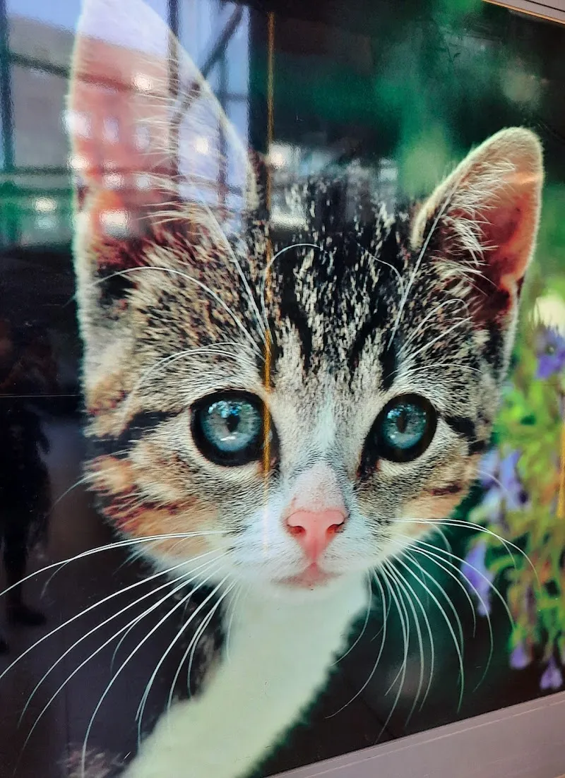 QUALIPET Centre Bulle — Zoofachhandel, Bulle, Freiburg. Foto 3