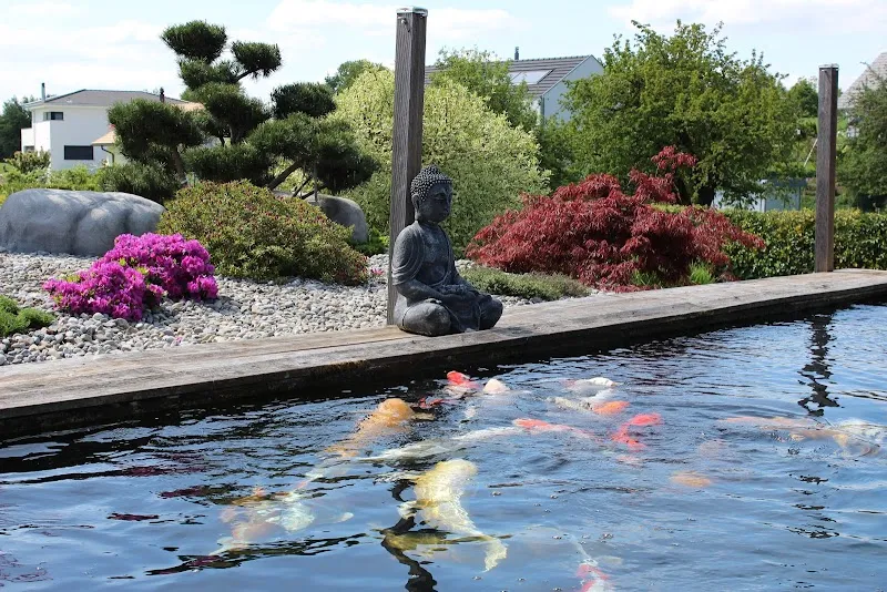 koi-futter — Zoofachhandel in Wallenried, Freiburg. Bewertung 4.7/5.