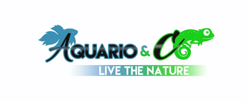 Aquario&Co — Animalerie, Satigny, Genève. Foto 3