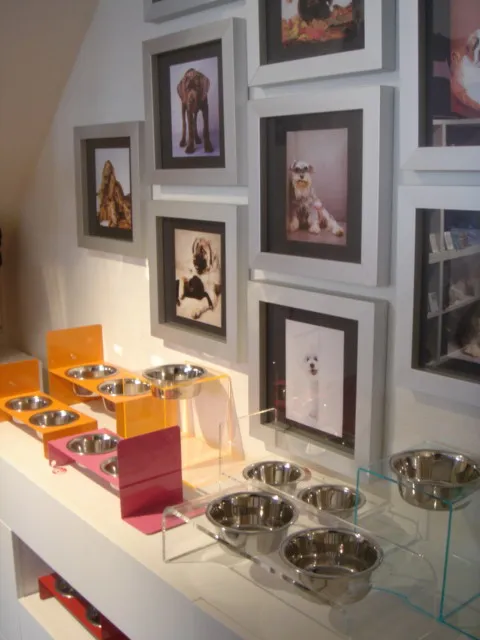 Boutique J'adore my dog — Animalerie, Cologny, Genève. Foto 2