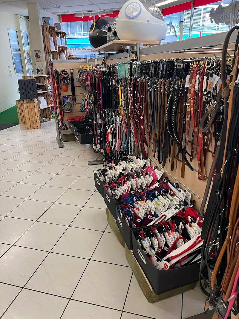 Canicrok - Eaux-Vives — Zoofachhandel, Genève, Genf. Foto 3