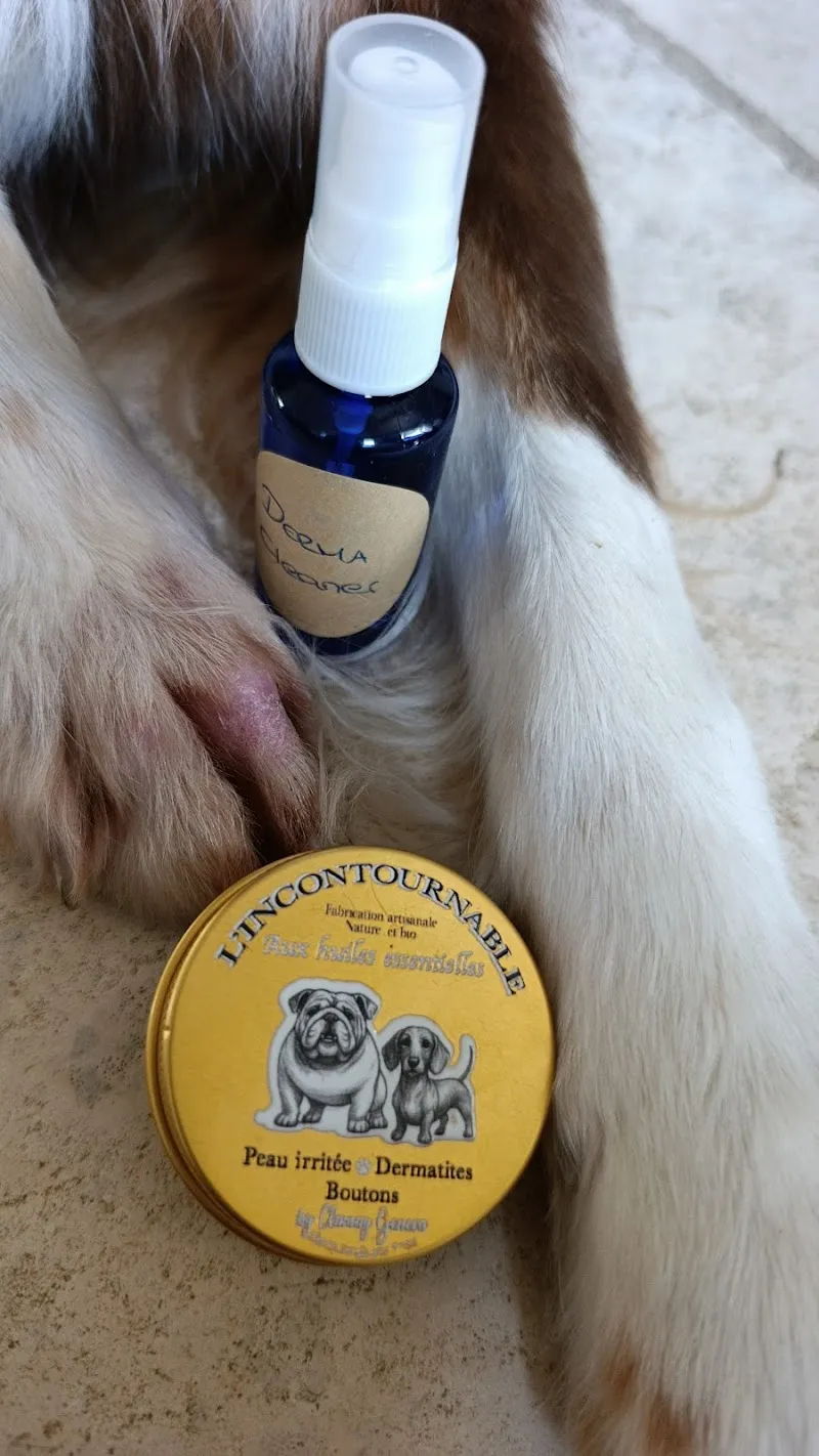 Clamay Geneva — Zoofachhandel, Chêne-Bougeries, Genf. Foto 3