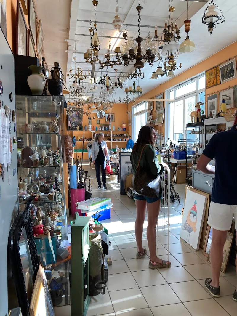 Emmaüs Genève — Animalerie, Carouge, Genève. Foto 3