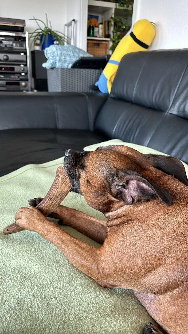 Fressnapf Thônex — Zoofachhandel, Thônex, Genf. Foto 2