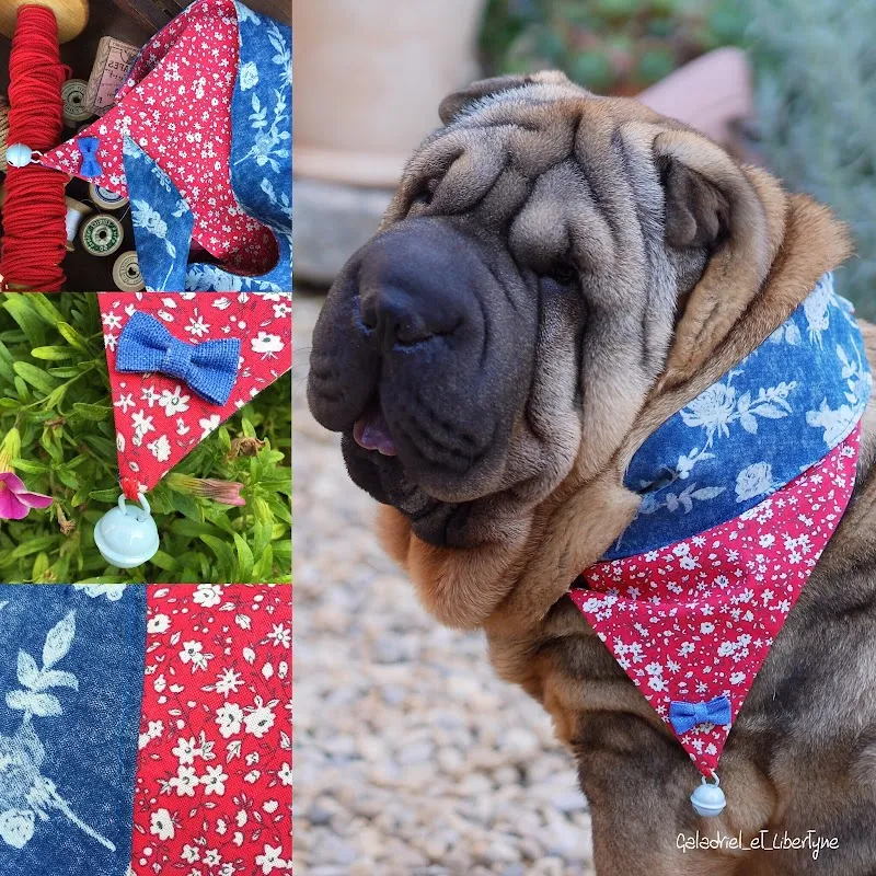 Galadriel & Liberty'ne — Zoofachhandel, Genève, Genf. Foto 3