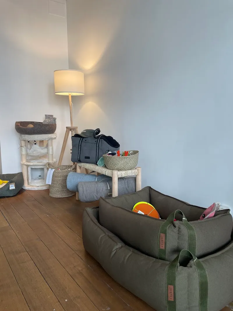 June design animalier — Zoofachhandel, Carouge, Genf. Foto 2