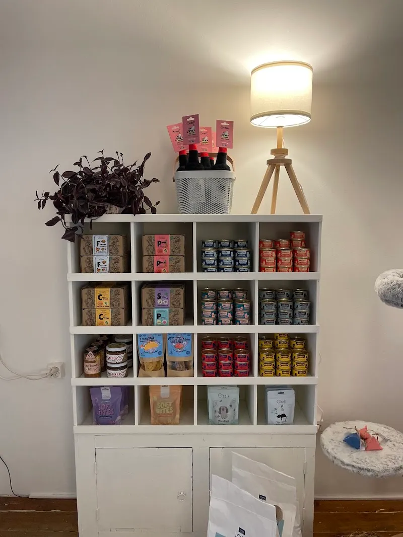 June design animalier — Zoofachhandel, Carouge, Genf. Foto 3