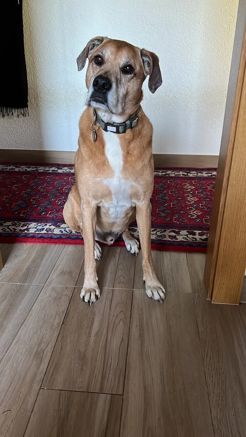 Kroumy Raw Dog Food — Animalerie, Chêne-Bougeries, Genève. Foto 3